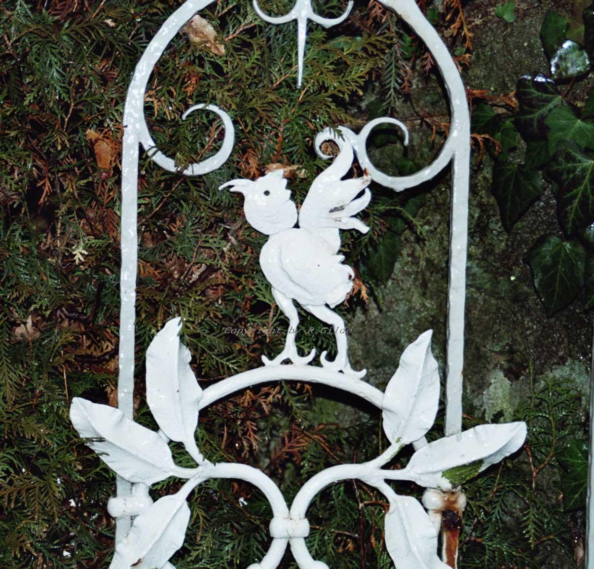 0503091 Wetzlarer Tierarzt