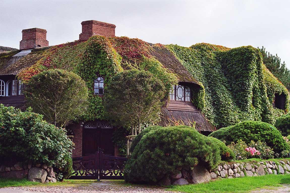 2405060 DE SH Sylt Kampen